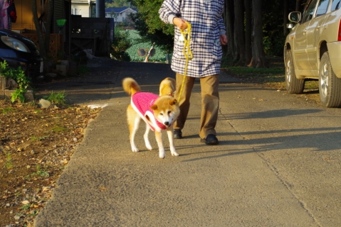 IMGP6892.jpg