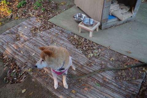 IMGP7129.jpg