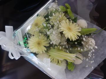 20130313花