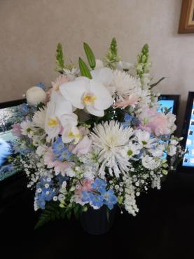 20130314花