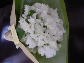 20130315花3