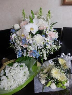 20130315花