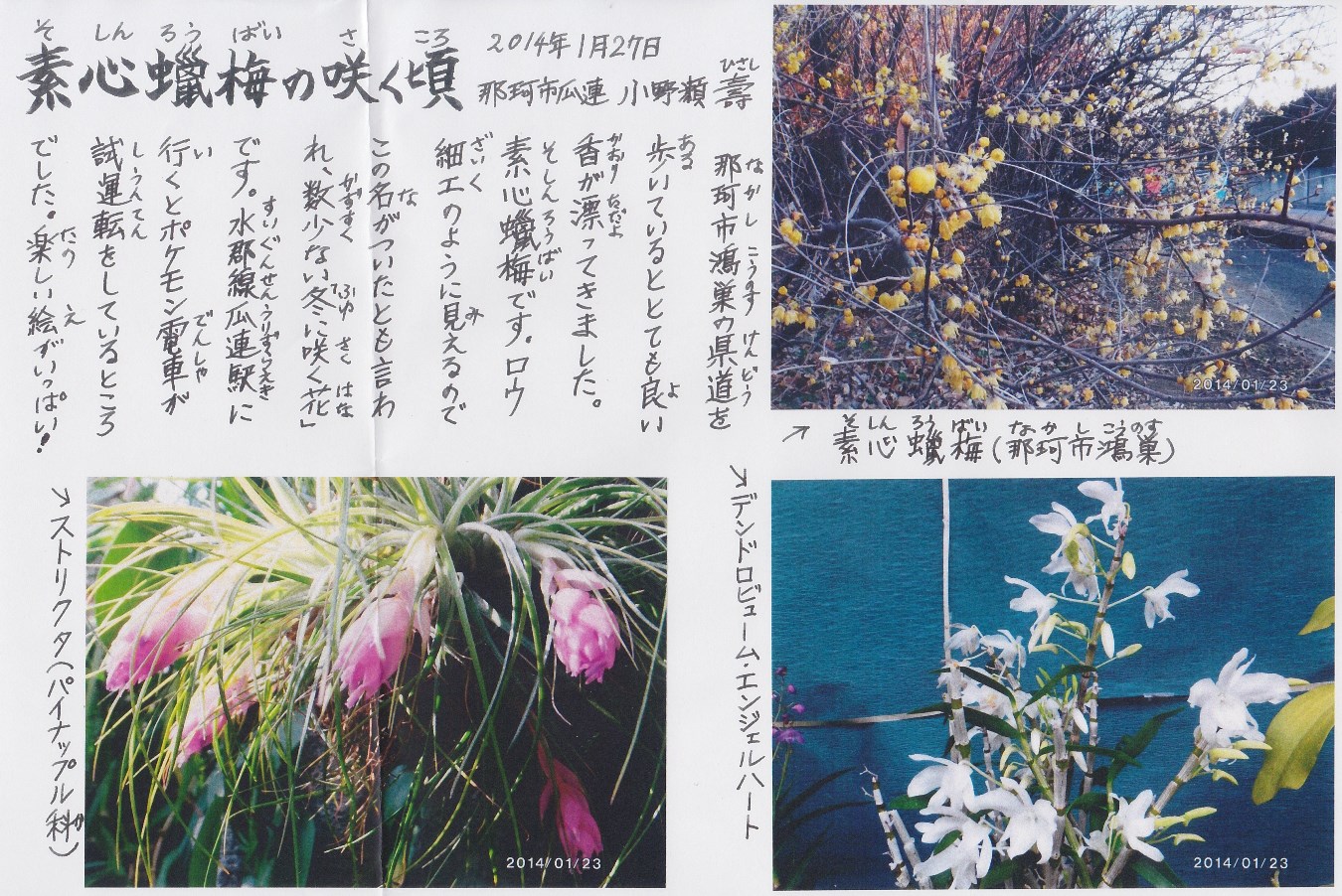 花1