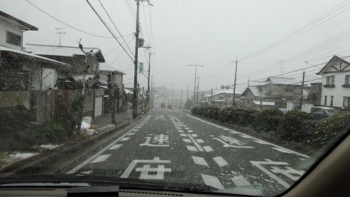 DSC00387.jpg