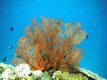 DSCF1093.jpg