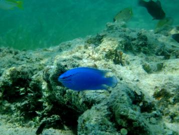 DSCF1189.jpg