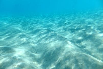 DSCF1210.jpg