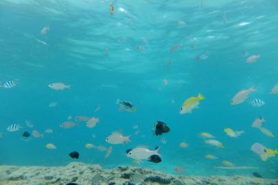 DSCF1291.jpg