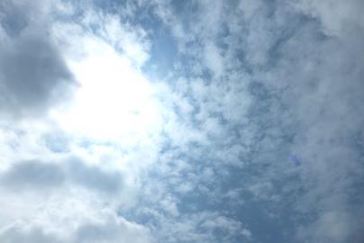 DSCF1372.jpg