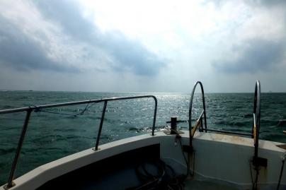 DSCF1959.jpg