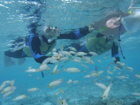 DSCF3063.jpg