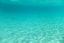 DSCF3071.jpg