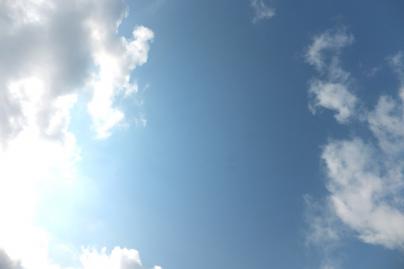 DSCF3091.jpg