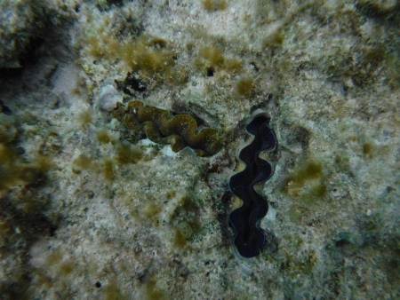 DSCF3132.jpg