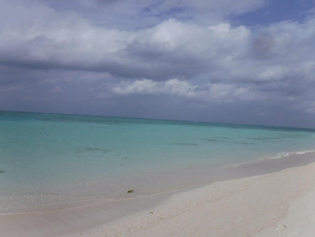 DSCF3198.jpg