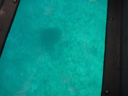 DSCF3300.jpg