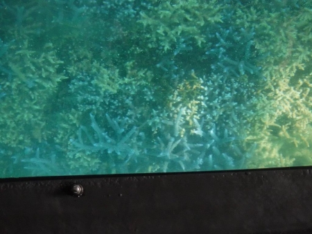 DSCF3383.jpg