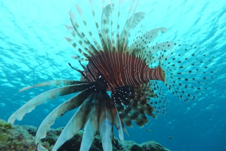 DSCF3540.jpg