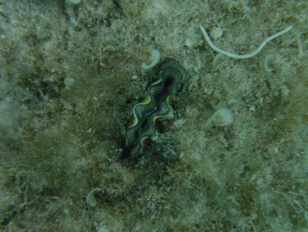 DSCF3565.jpg