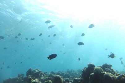 DSCF3935.jpg