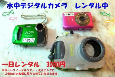 DSCF3990.jpg