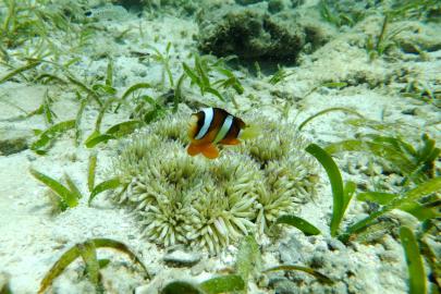 DSCF4040.jpg