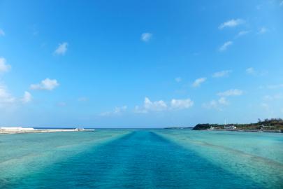 DSCF5184.jpg