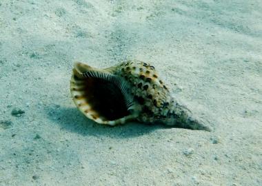 DSCF5276.jpg
