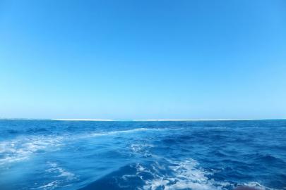 DSCF5320.jpg