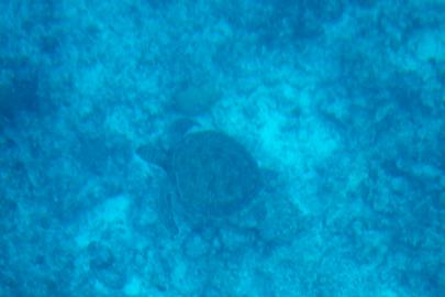 DSCF5370.jpg