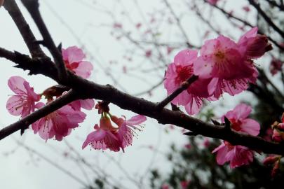 DSCF7059.jpg