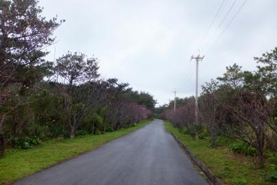 DSCF7060.jpg