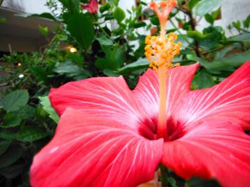 DSCF7109.jpg
