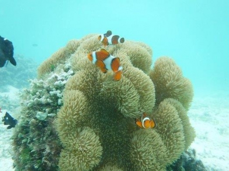 DSCF8014.jpg