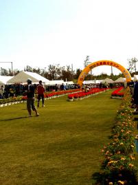 IMG_2476.jpg