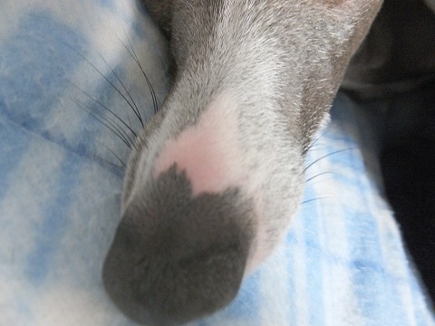 DSCF0465.jpg