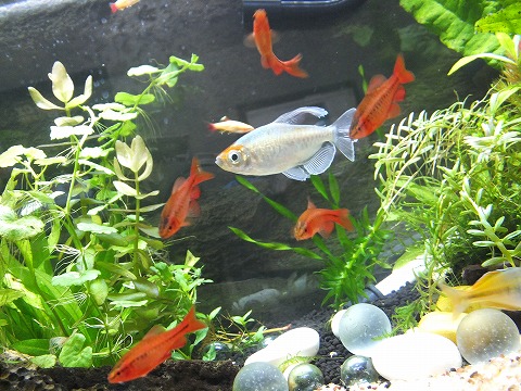 DSCF0475.jpg