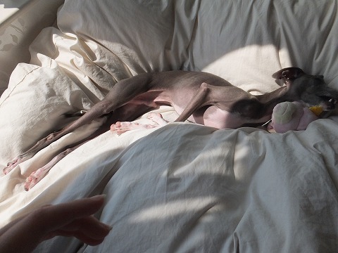 DSCF0497.jpg