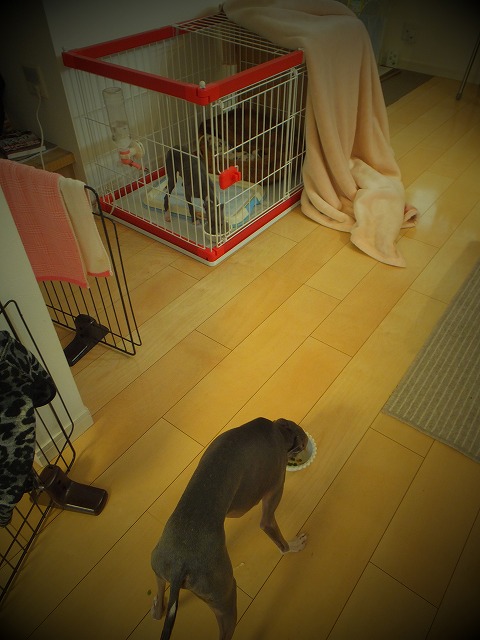 DSCF0872.jpg