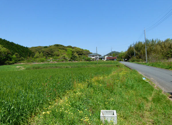 12042707.jpg