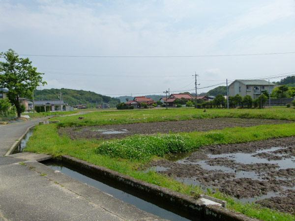 12060762.jpg