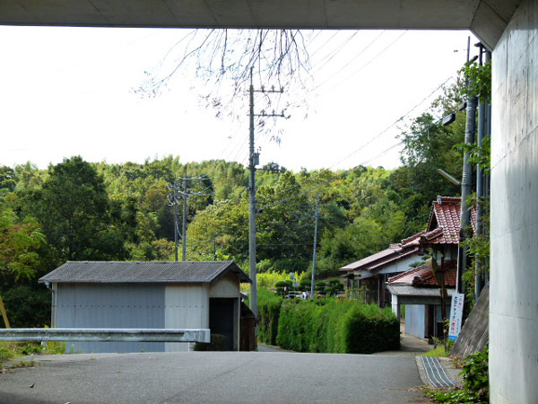 12100411.jpg