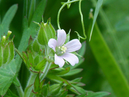 s1080640.jpg