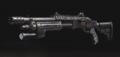 bo2R870.jpg