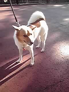 12-11-04_004.jpg