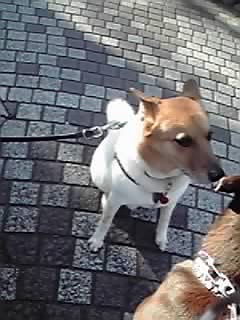 13-01-13_002.jpg