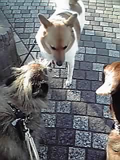 13-01-13_004.jpg