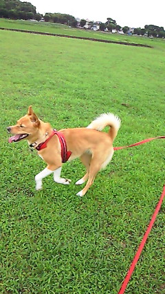 201006301556001.jpg