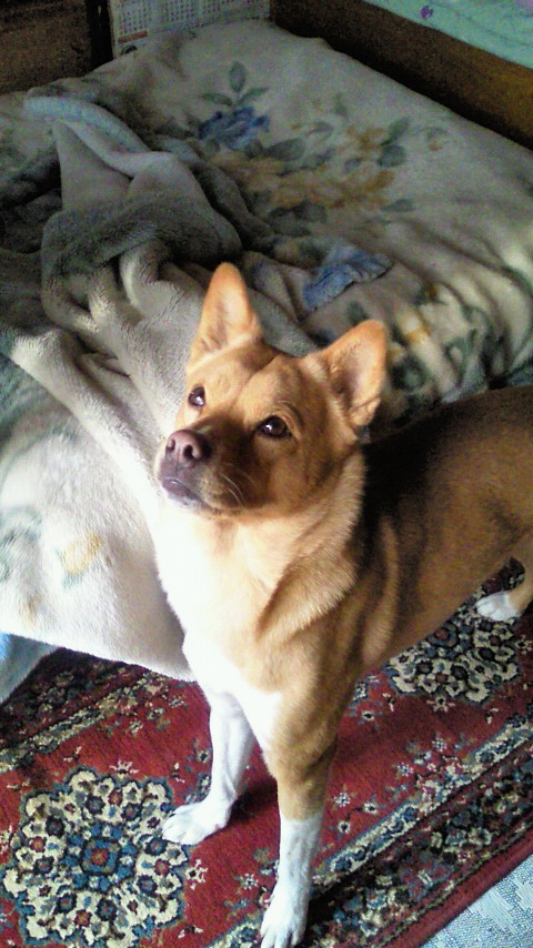 201201170820000.jpg