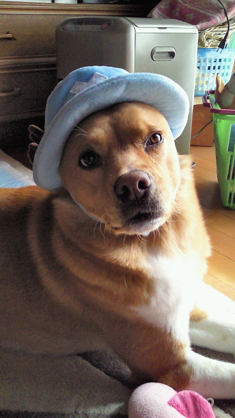 201203131053001.jpg